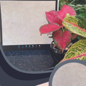 Vải Dán Tường Caroyal S78-03