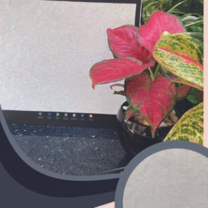 Vải dán tường Artistic 178-06