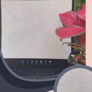 Vải Dán Tường Caroyal S78-09