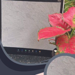 Vải Dán Tường Caroyal S78-12