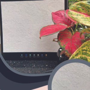 Vải Dán Tường Caroyal S78-13