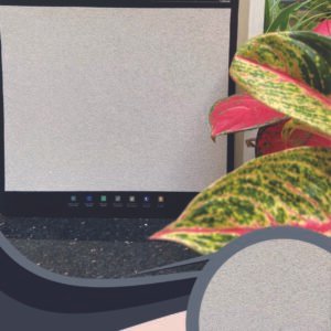 Vải Dán Tường Caroyal S78-17