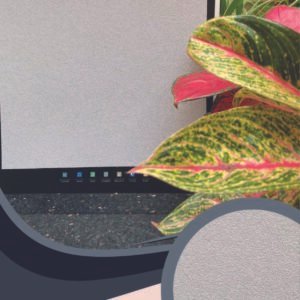 Vải dán tường Artistic 178-19