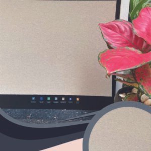 Vải Dán Tường Caroyal S78-38