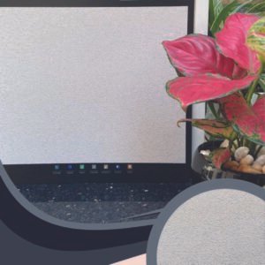 Vải Dán Tường Caroyal S78-38