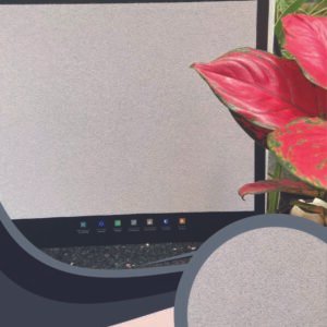 Vải Dán Tường Caroyal S78-28