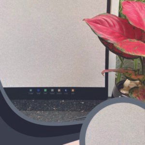 Vải Dán Tường Caroyal S78-31