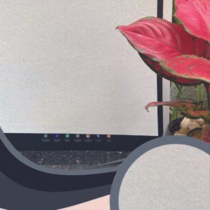 Vải Dán Tường Caroyal S78-33