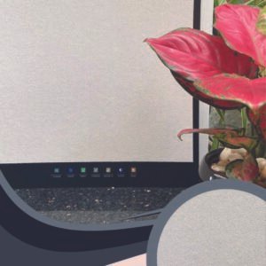 Vải Dán Tường Caroyal S78-34