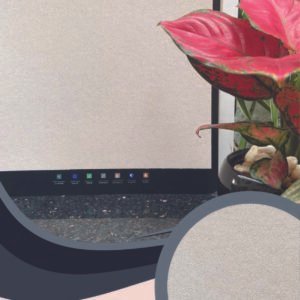 Vải Dán Tường Caroyal S78-35