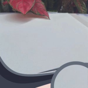 Vải dán tường Caroyal C09-14