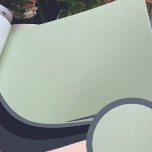 Vải dán tường Caroyal C09-22