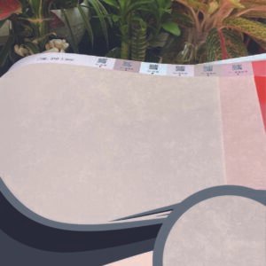 Vải dán tường Caroyal C09-40