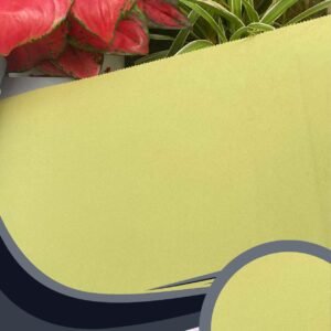 Vải dán tường Caroyal C10-03