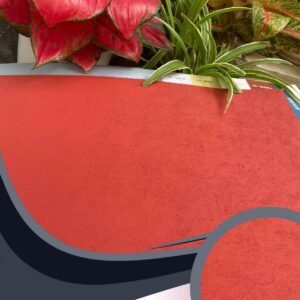 Vải dán tường Caroyal C10-05