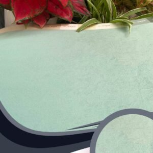 Vải dán tường Caroyal C10-24