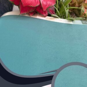 Vải dán tường Caroyal C10-25