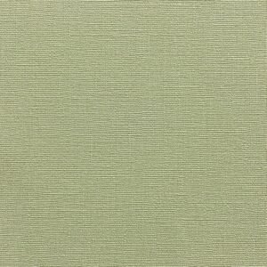 Vải dán tường Longines – Model LS4-05-10