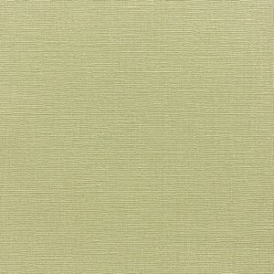 Vải dán tường Longines – Model LS4-05-12